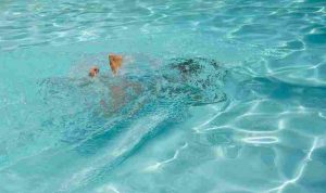 kalina-o-8JdbuznblnY-unsplash_11zon (1)