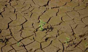 jinson-nguyen-4RujYEvwCb4-unsplash_11zon (1)